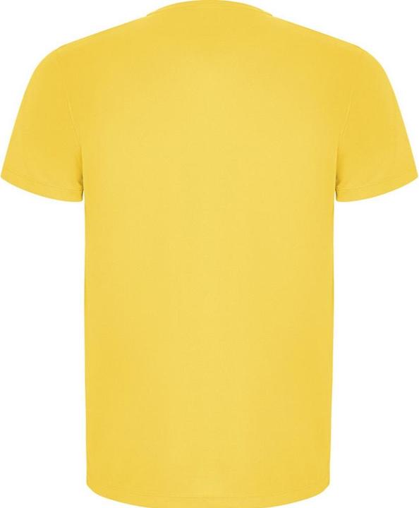 Immagine prodotto Alpinia Imola Maglietta Sportiva Maniche Corte Bambini (104)