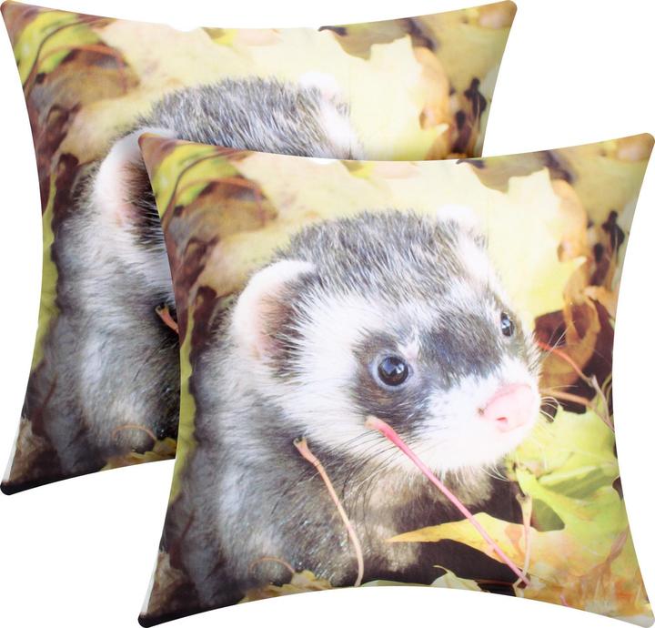 Image du produit Avizar 2 Stk. Kissenbezüge Frettchen (40 x 40 cm)