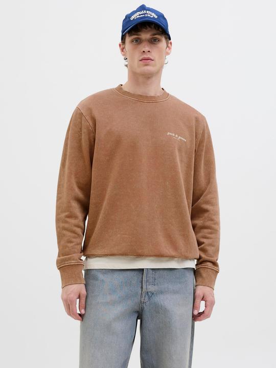 Produktbild Jack & Jones Jjedover Print Sweat Crew Neck (M)