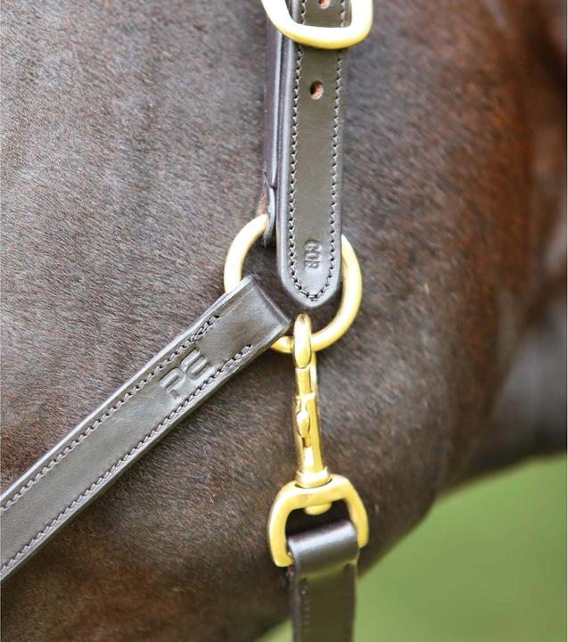 Image du produit Premier Equine Licol pour cheval en cuir
