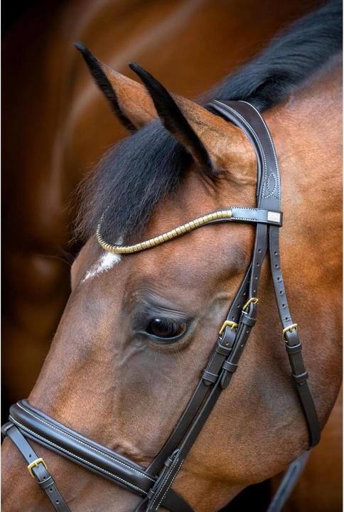 Image du produit Horse Guard Emi 26.1