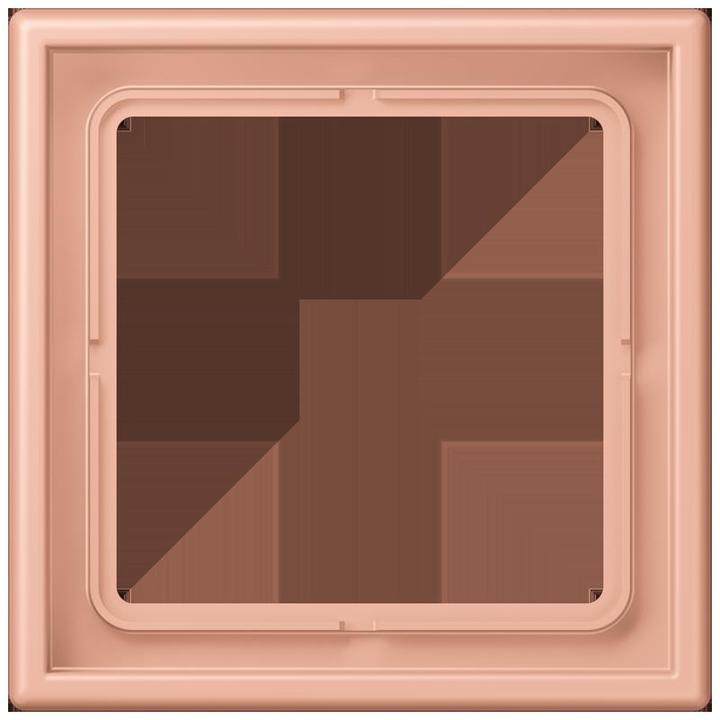 Actual product image JUNG Frame