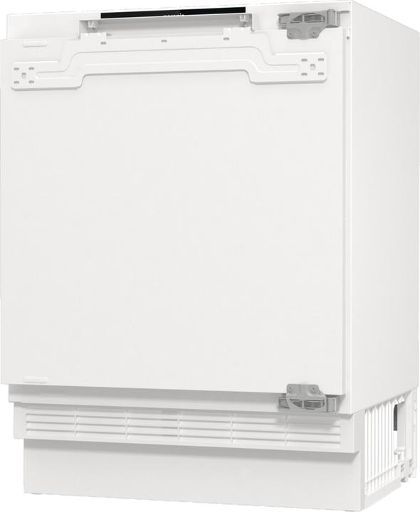 Actual product image Gorenje RBIU609EA1 (121 l)