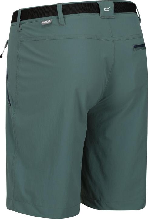 Actual product image Regatta Mens Xert III Stretch Shorts (56)