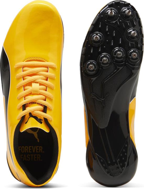 Produktbild Puma evoSPEED Prep Sprint 3.5 (40)