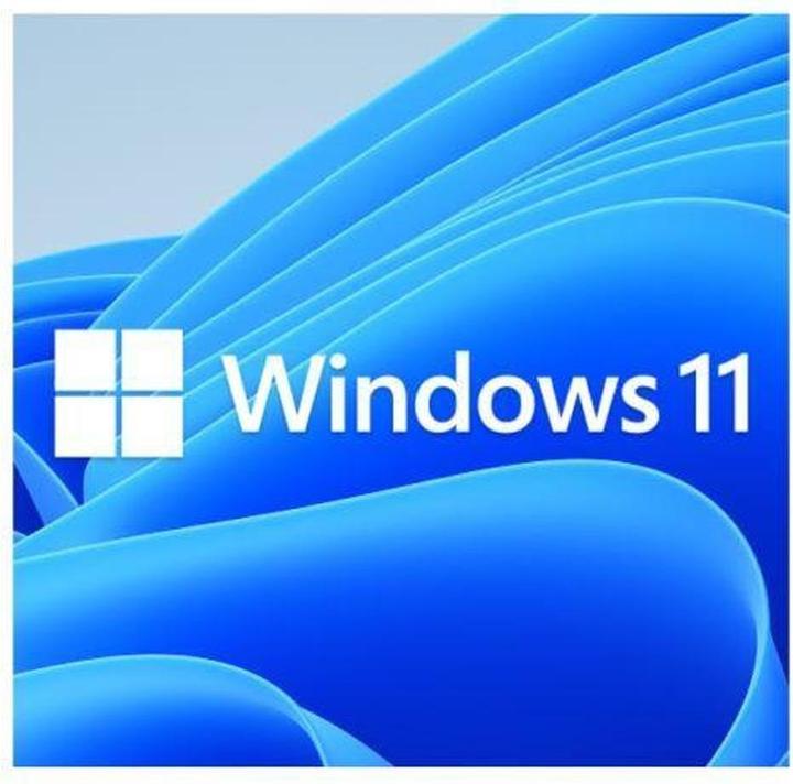 Actual product image Microsoft Windows 11 Pro (EN) (1 User, unlimited)