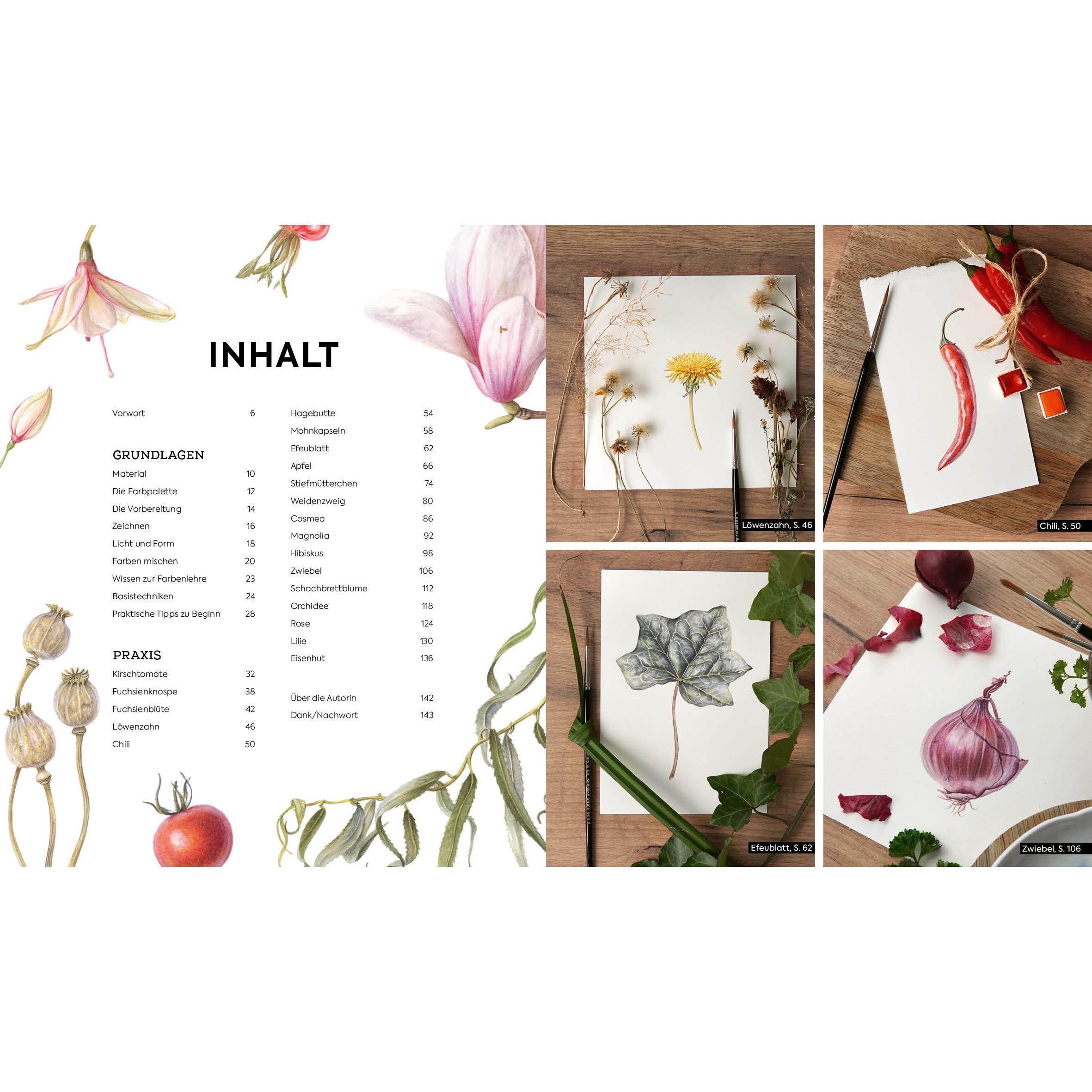 Thumbnail - Edition Fischer Botanicals – Naturmotive in Aquarell