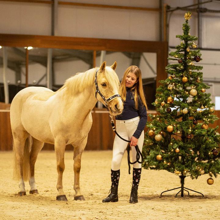 Produktbild Qhp Noël