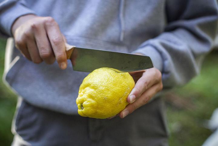 Actual product image Primus CampFire Knife