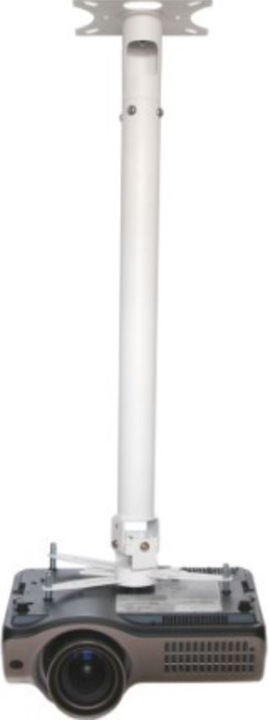 Actual product image Vision TM-1200 (Ceiling)