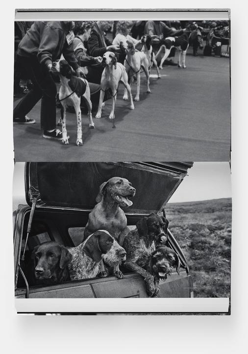 Immagine prodotto Hunde lieben