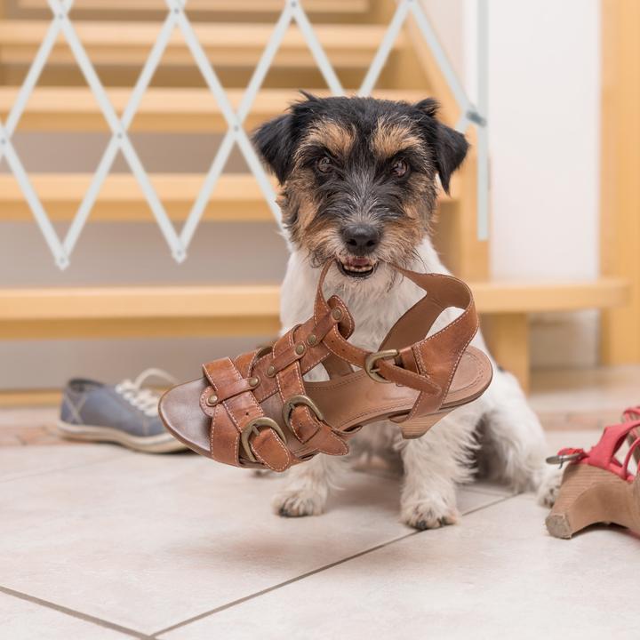 Actual product image Relaxdays Hundeabsperrgitter (3 cm)