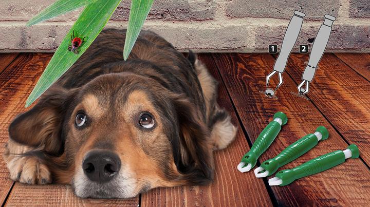 Immagine prodotto Karlie Zeckenzangen (Cane)