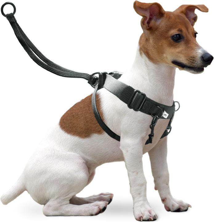 Image du produit Karlie Easy Walker (L, Chien, Promenade)