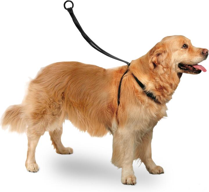 Image du produit Karlie Easy Walker (M, Chien, Promenade)