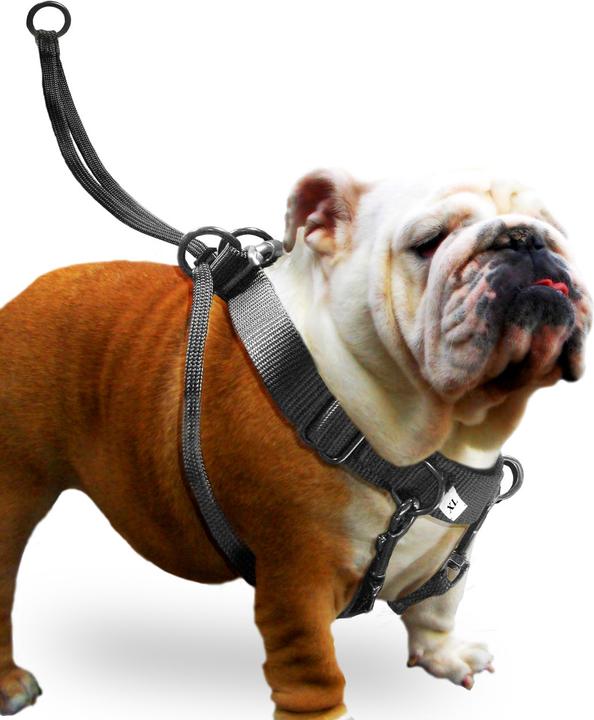 Image du produit Karlie Easy Walker (L, Chien, Promenade)