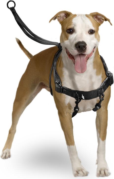 Image du produit Karlie Easy Walker (L, Chien, Promenade)