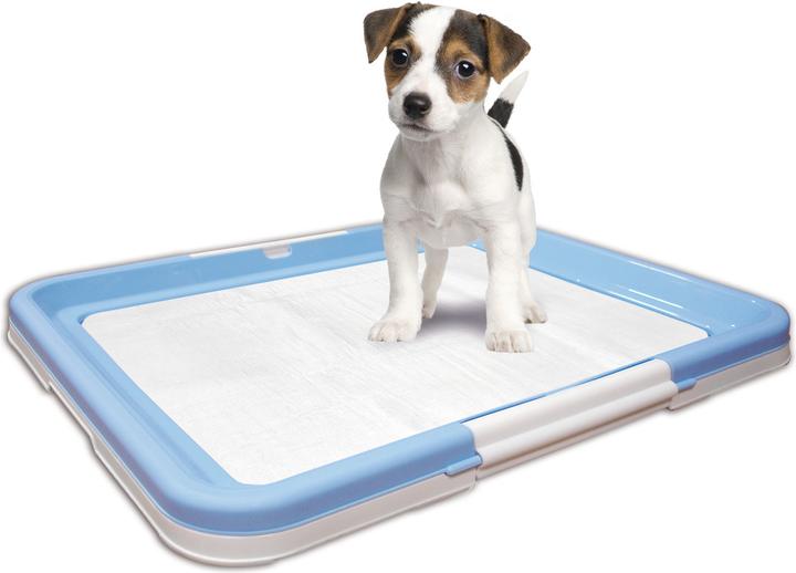 Image du produit Karlie Dresseur de chiots avec tapis d'entraînement (S)