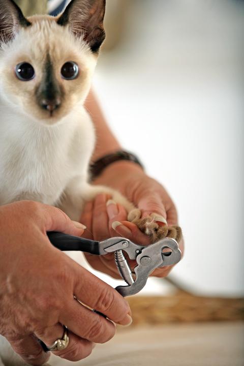 Produktbild Karlie Krallenzange für Katze (Katze)