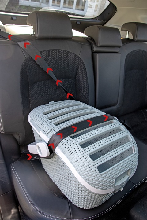 Produktbild Curver Ersatzteil Sicherheitsverschluss für Transportbox (Nager, Reflektoren, Sicherheitsverschluss)