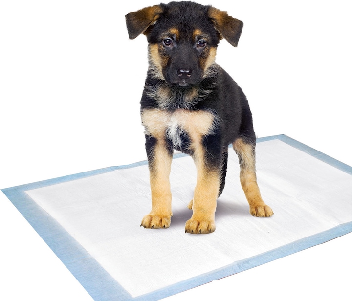 Produktbild Karlie Puppy Pads (Hund)