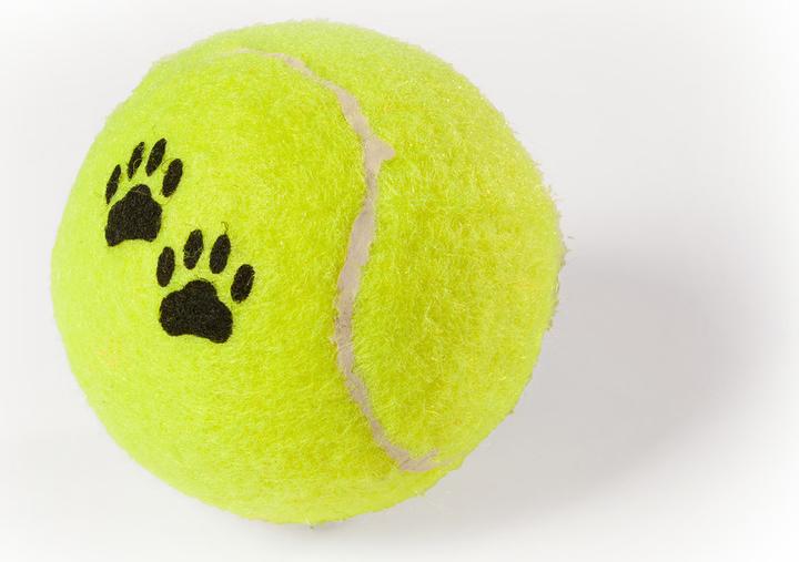 Immagine prodotto Karlie Tamburo giocattolo con 12 palle da tennis (Palla giocattolo per cani)