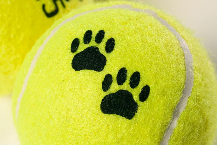 Immagine prodotto Karlie Tamburo giocattolo con 12 palle da tennis (Palla giocattolo per cani)