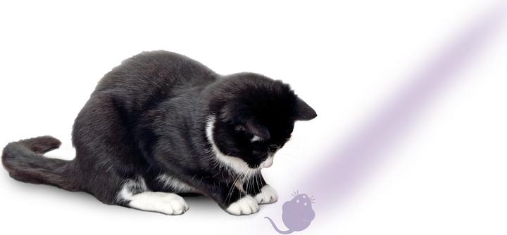 Immagine prodotto Karlie Puntatore con motivo mouse