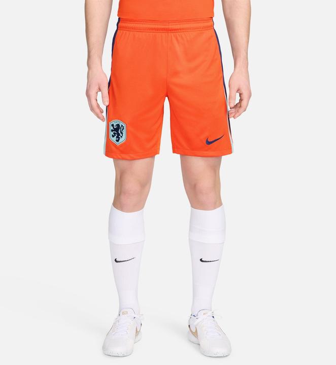 Actual product image Nike Holland EM Shorts (M)