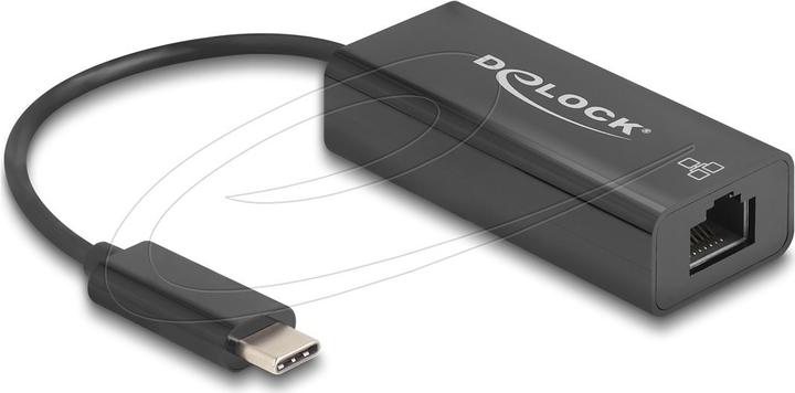 Produktbild Delock USB 2.0 Type-C Adapter zu 10/100 Mbps LAN (USB 2.0, USB-C, RJ45 (1x))
