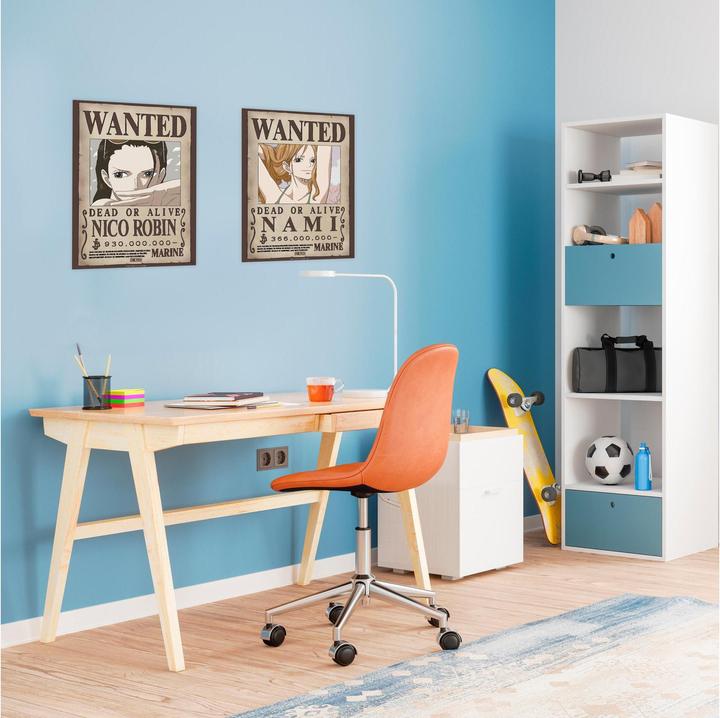 Image du produit GB Eye One Piece - Nami & Robin