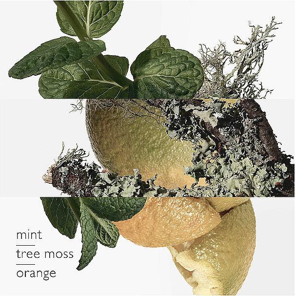 Actual product image Hermès Eau d'Orange Verte (Eau de cologne, 100 ml)