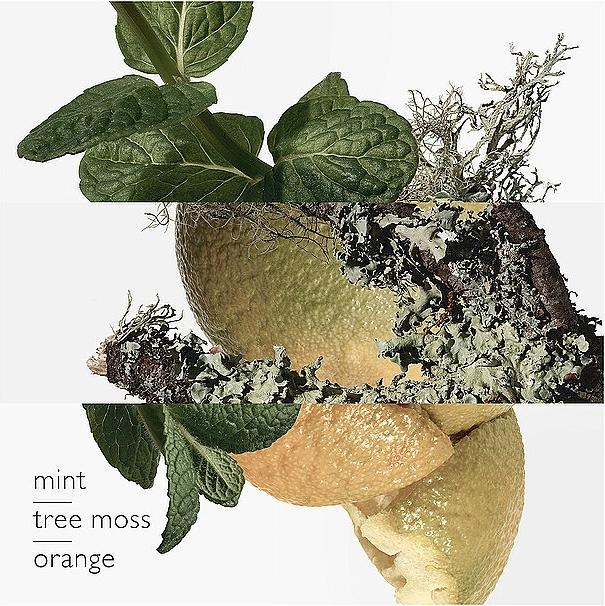 Image du produit Hermès Eau d'Orange Verte (Eau de cologne, 100 ml)