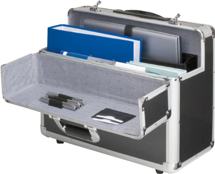 Immagine prodotto Alumaxx Carbonio (41 l, Bagaglio a mano (fino a 50 litri))