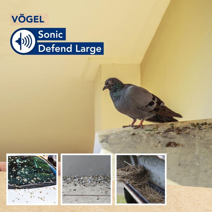 Produktbild Edialux Sonic - Vogelabwehr - gro?