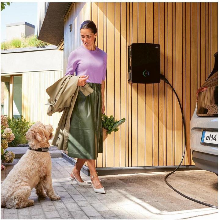 Productafbeelding ABL Wallbox eM4 Twin, 100000002 Controller, 11/22 kW, 2x type 2 stopcontacten (Type 2, 22 kW)