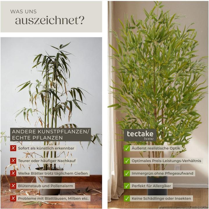 Immagine prodotto tectake Bambusbaum Bambosa (120 cm)