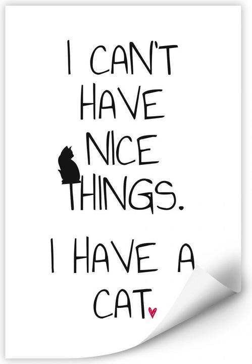 Produktbild Trenddeko I can't have nice Things - Cat (30 x 45 cm)
