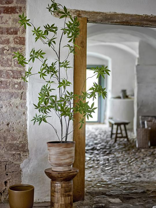 Image du produit Bloomingville Palmatum (160 cm)