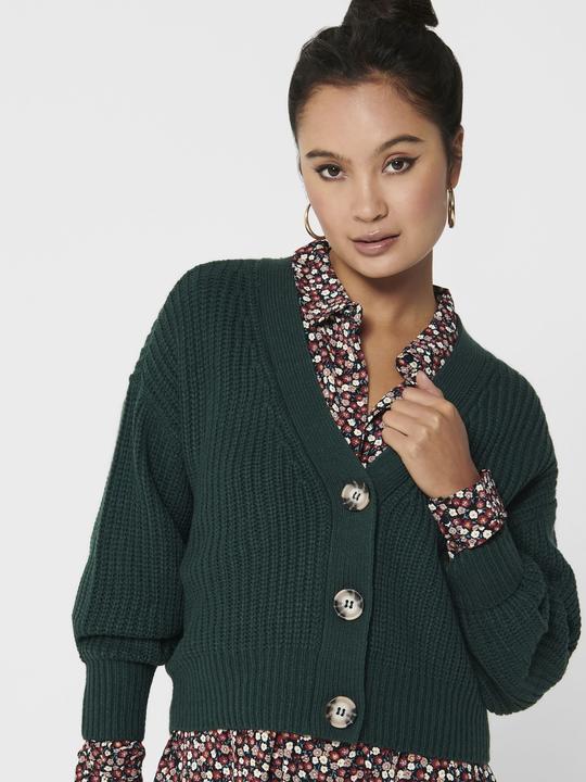 Produktbild JdY Kurzer Strickjacke (XXS)