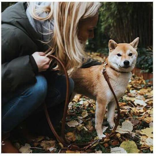 Actual product image Hunter Adjustable lead Round & Soft (S, Dog, General)