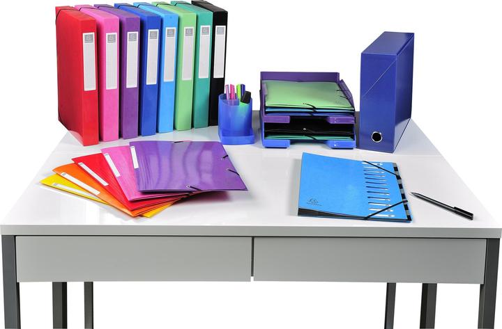 Produktbild Exacompta Sammelmappe mit Gummizug (A4, 1 x)