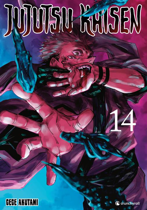 Actual product image Jujutsu Kaisen – Band 14 (German, Gege Acutami, 2022)