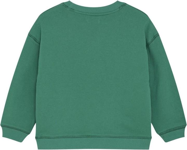 Image du produit Noppies Pullover Ridgely (110)