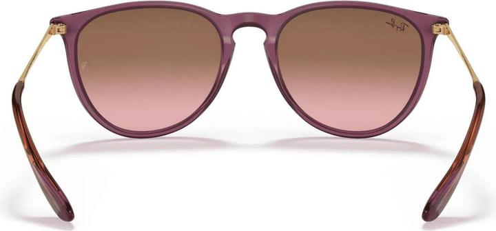 Produktbild Ray Ban ERIKA RB4171 brown M