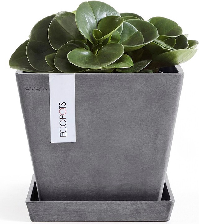 Actual product image Ecopots Saucer Rotterdam