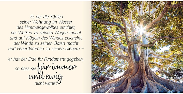 Produktbild Ich schenke dir Psalm 104 (Deutsch, 2022)