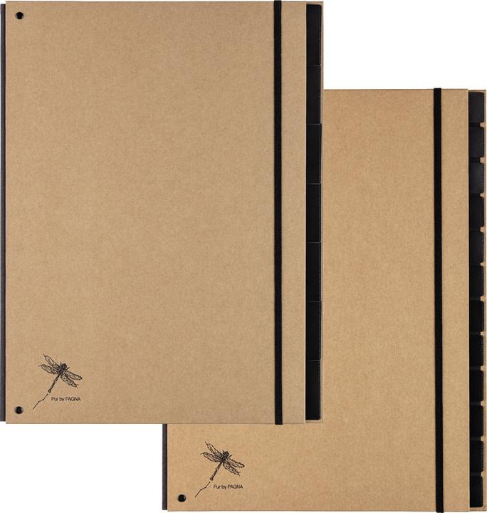 Produktbild Pagna Pultordner (A4, 1 x)