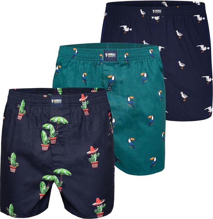 Kaktus, Möwe, Pavian