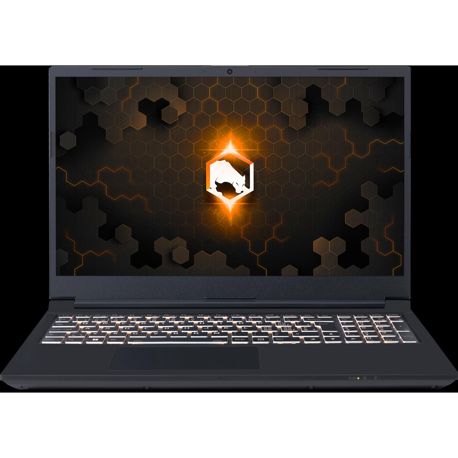 Joule Performance ARGOS 15 RTX3050TI I5 (15.60", 16 GB, DE), Notebook
